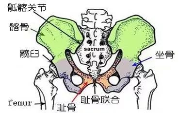 强直性脊柱炎的 早 中 晚 期表现 腾讯新闻