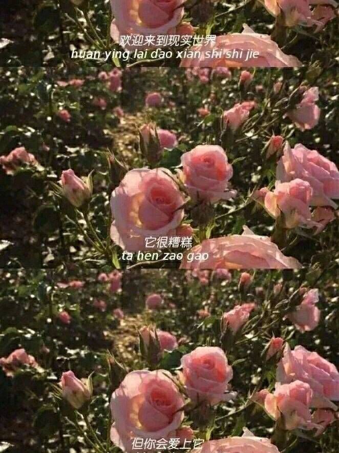 最近这组 失恋 壁纸火了 我还是很喜欢你 但是不再爱你了 腾讯新闻