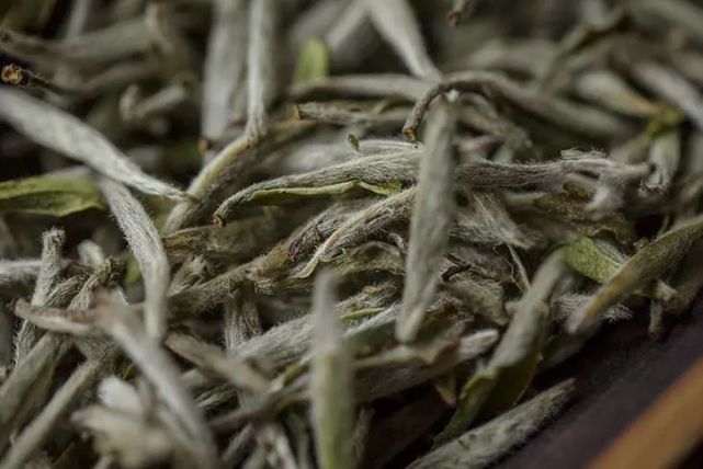 白毫银针是什么茶 腾讯网