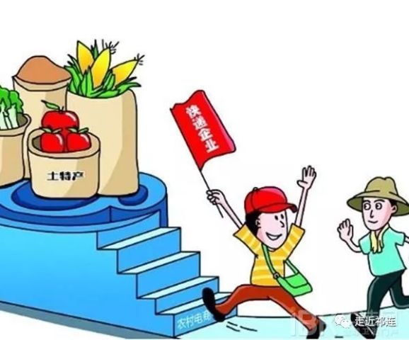 店铺运营策略解析：从流量到利润