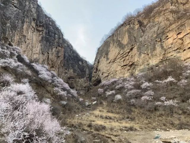 腾讯内容开放平台