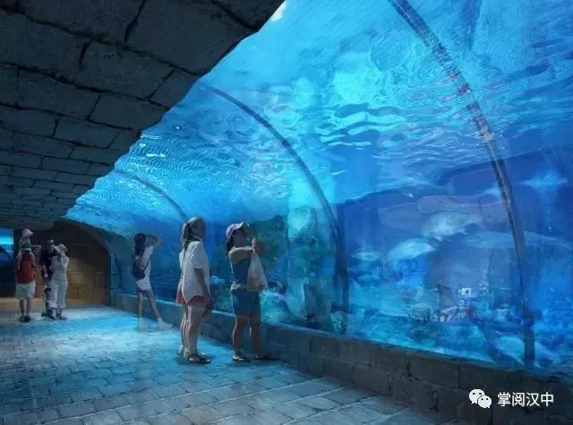 汉中海洋馆,即将惊艳陕南!