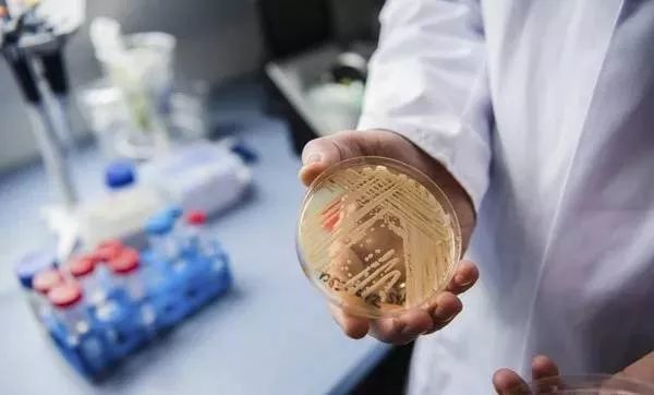 超级真菌肆虐全球!18名中国人感染,美国列为