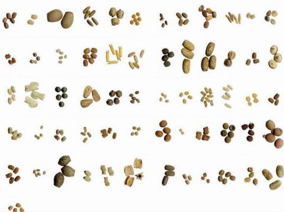 腾讯内容开放平台