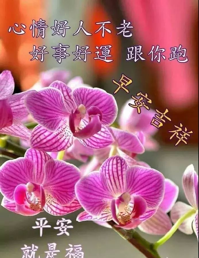 早上好的句子清晨问候语录最新版早上好2022表情图片漂亮好看最新版