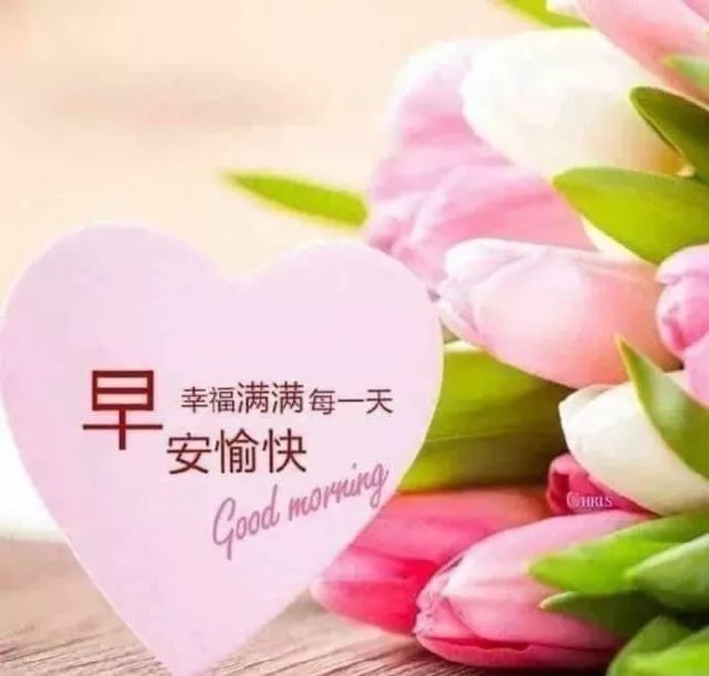21特漂亮的清晨早上好问候图片最新版早上好短信问候祝福语大全 腾讯网