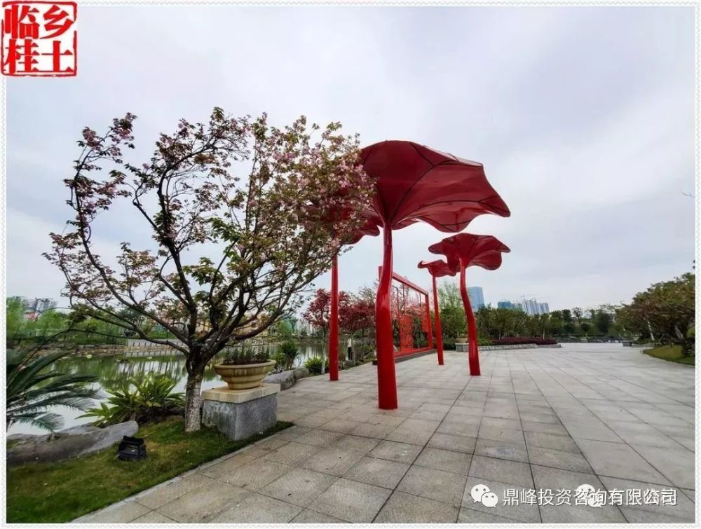 临桂市民公园图片