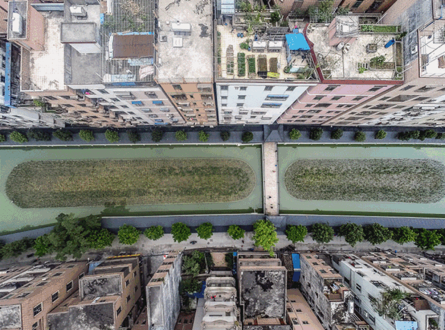 白云区黄边社区(图:石建华 李嘉仁)