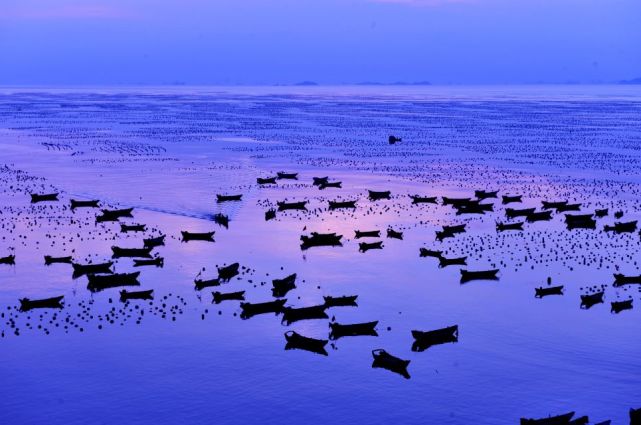 舟山新增一处省级海洋特别保护区!360种鱼类全部保护起来