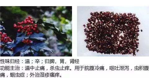 大料,大茴香,舶上茴香,八角珠,八角香八角茴香別名:母丁香,公丁香,雄