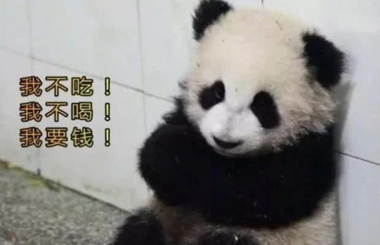 这只模仿"苏大强"的国宝大熊猫走红了,姿势神情太像了,笑翻天