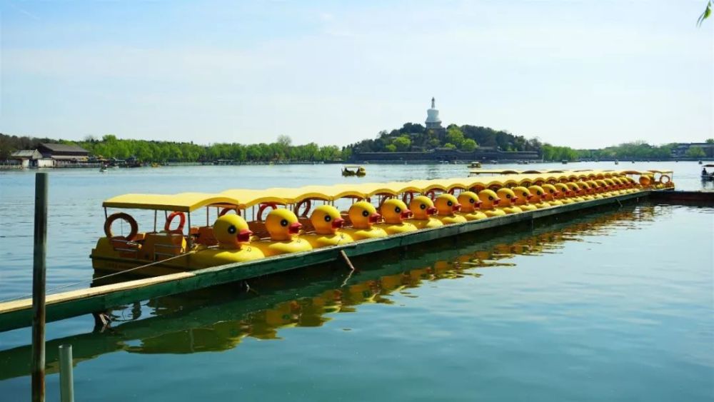 陽光明媚當然要去北海公園啦