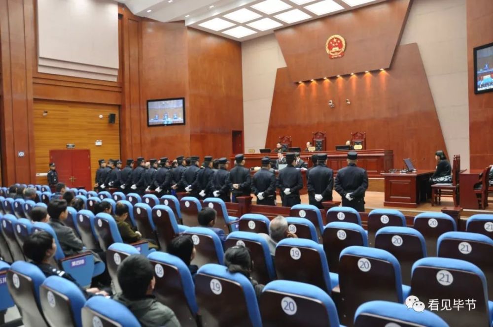 纳雍县龙德江等12人恶势力案二审公开宣判龙德江案由纳雍县人民法院