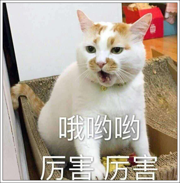 女子婚后在新房的墙上乱涂乱画,丈夫不理解,走近看心都被萌化了