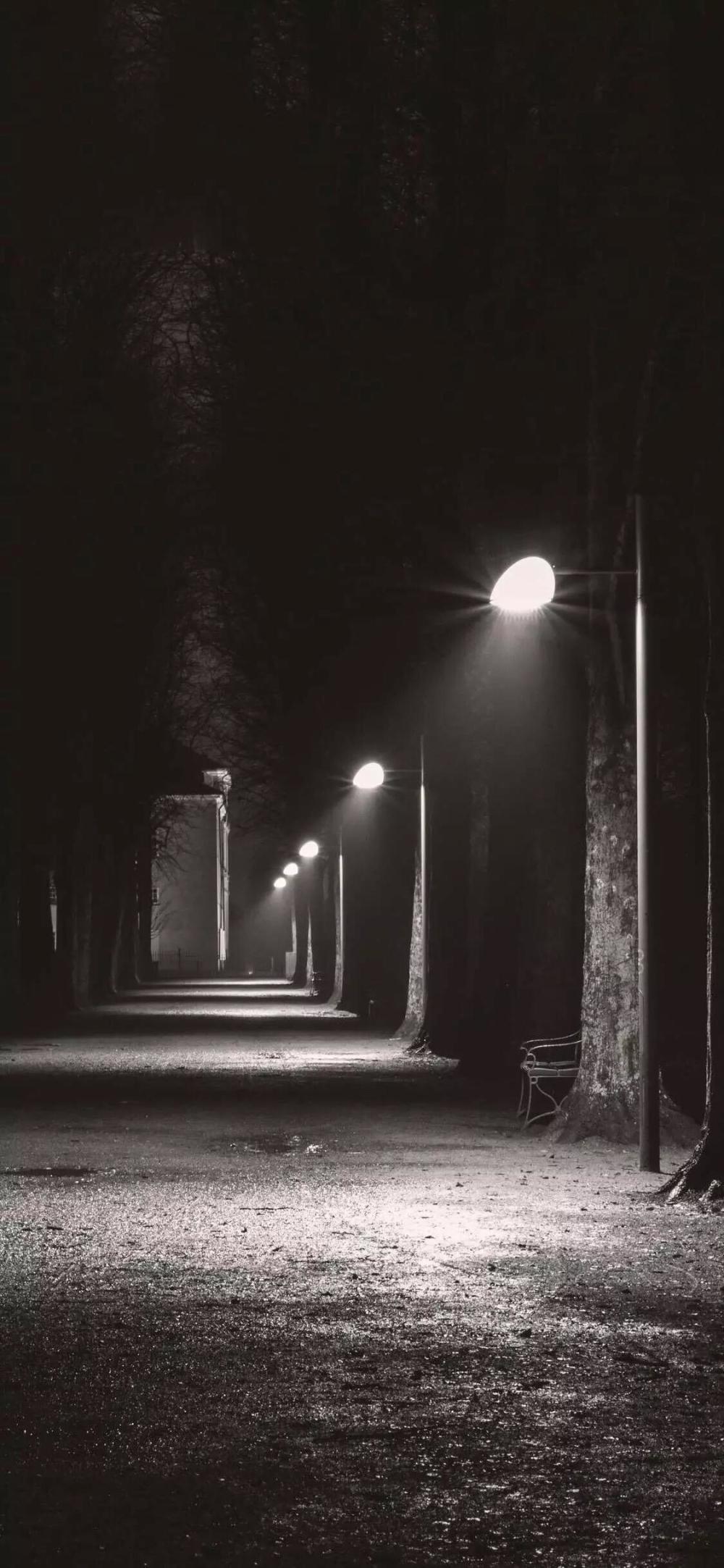 网易云热评:少时,我以为唐僧于女儿国不敢近观花车