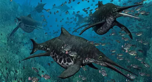 盘点海洋中5种巨型海兽,它重达33吨,把上龙类生物吃得灭绝!