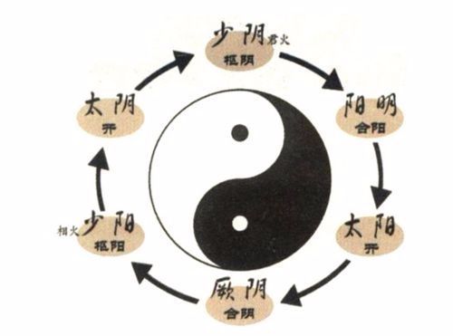 《伤寒论》里的六经辨证,究竟是个什么情况?它的总纲是什么