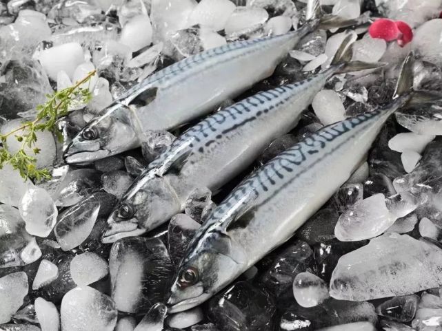 腾讯内容开放平台