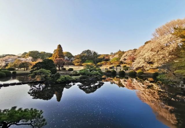 人间四月天 樱花烂漫时 设计手帐 日本站