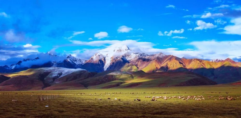 2019最新版 ||中筝线上学院精讲课《雪山春晓》更新