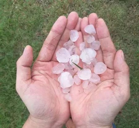 徐闻风力高达15级 临时雨棚在狂风中蹦迪 这破坏力不比台风小啊!