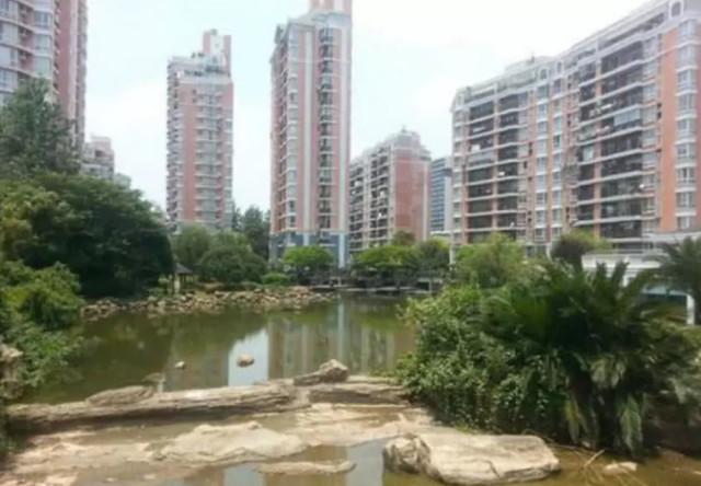 爱情公寓拍摄地 腾讯网