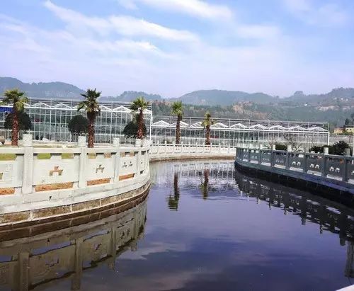 【乡村振兴】守住绿水青山 收获金山银山 甘宁镇作出绿色发展大文章