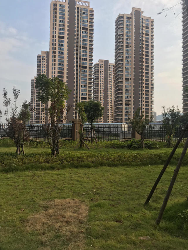 万科17000元/㎡拿下温州鹿城葡萄棚地块