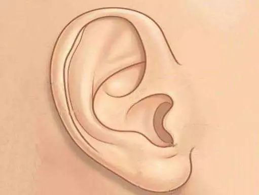 耳朵上出现这些特征,就要注意了!