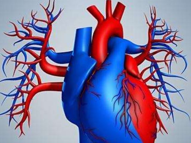 心脏病竟"男女有别"?女生会更"危险",千万别不当回事!