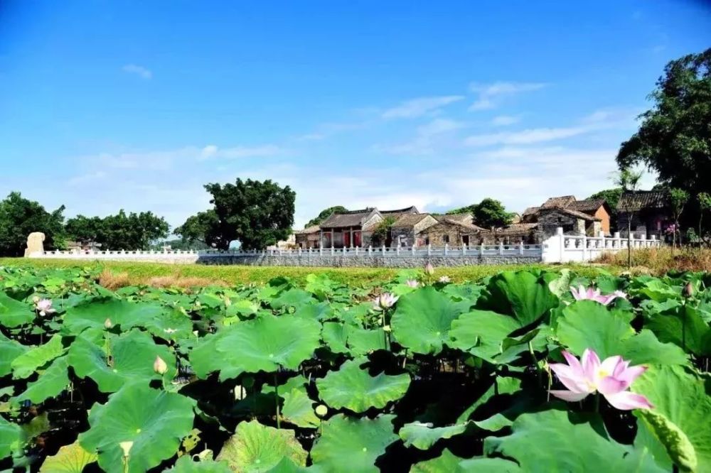 惠州这些最美乡村,央视都来打卡!