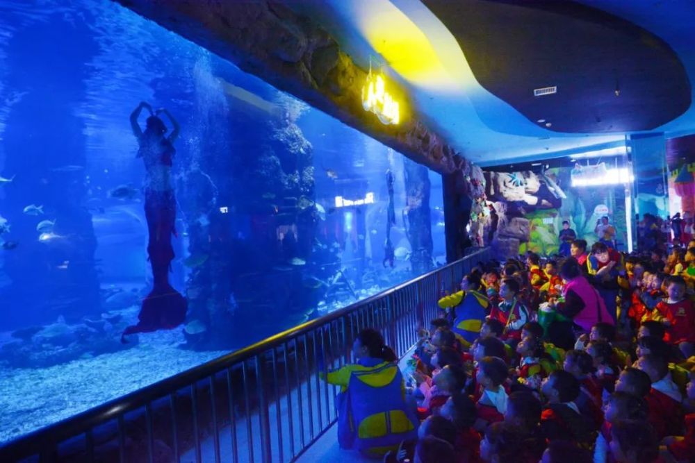 遨游海底,童趣乐无限!