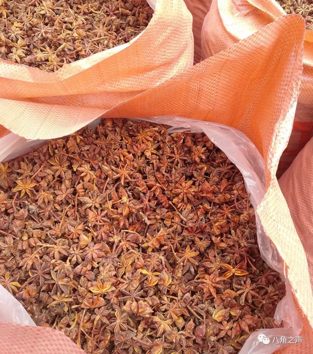 7元一斤购买的春花八角,算了算成本.九成多干的货【3.7-3.