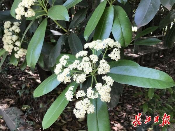 腾讯内容开放平台