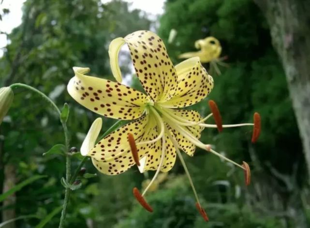 腾讯内容开放平台