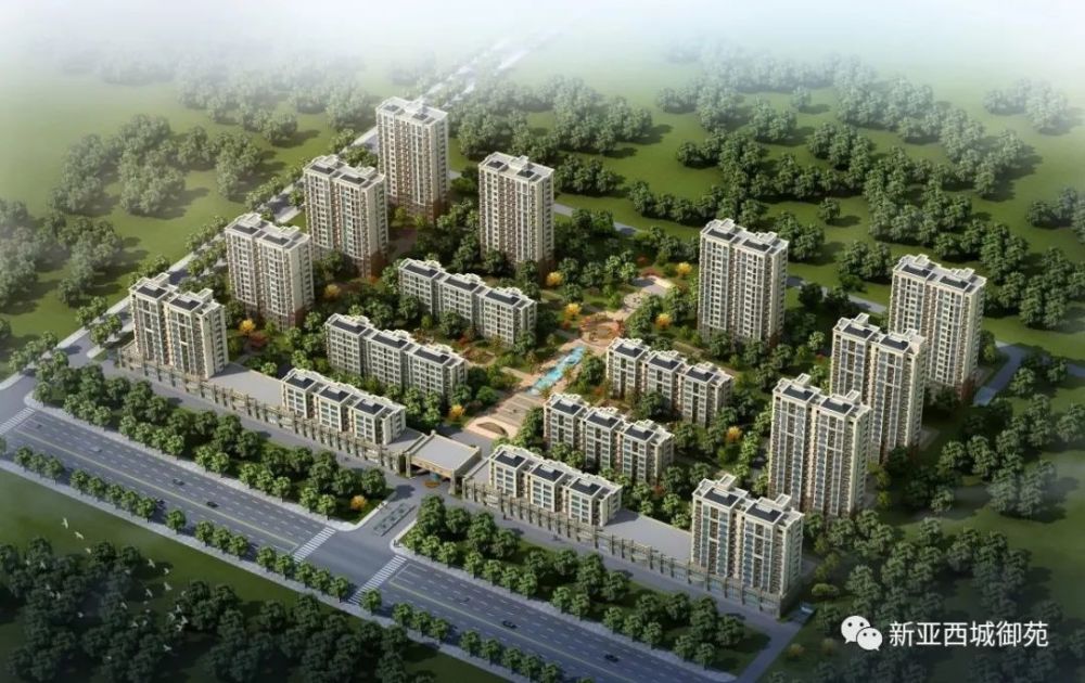 四盘联动,沸腾全城