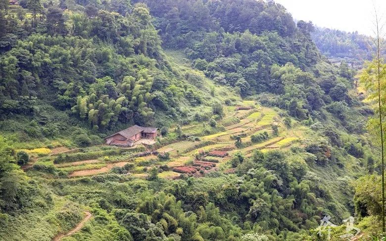 上午:七彩梯田 下午:杜市鎮 從主城驅車1個小時,有個地方叫江津太公山