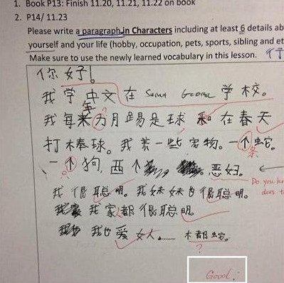 外国人写的汉语短文 中学生看过之后 顿时有了成就感 汉语 英语 外语 汉字 作文