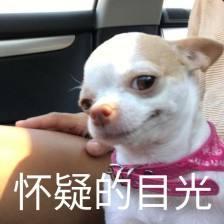 你会讲中文吗?用英语怎么说?原来我们错了这