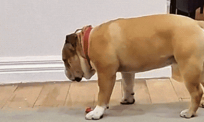 上课犯困晚期患者,试试这些小方法