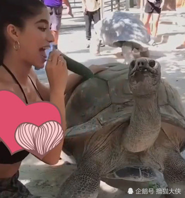 ӰҽýԱԭķ뼰Appѧ?ɾԭ