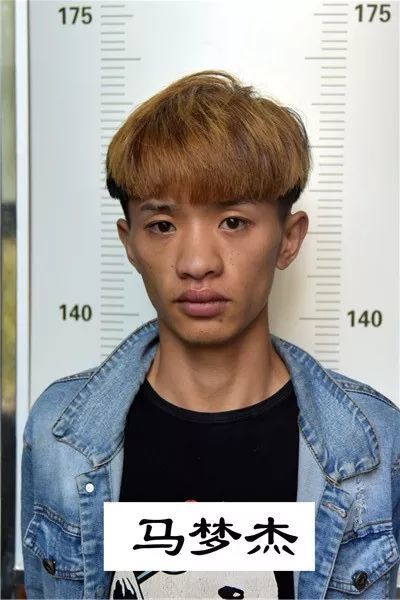 关于公开征集李林燕等人违法犯罪线索的通告