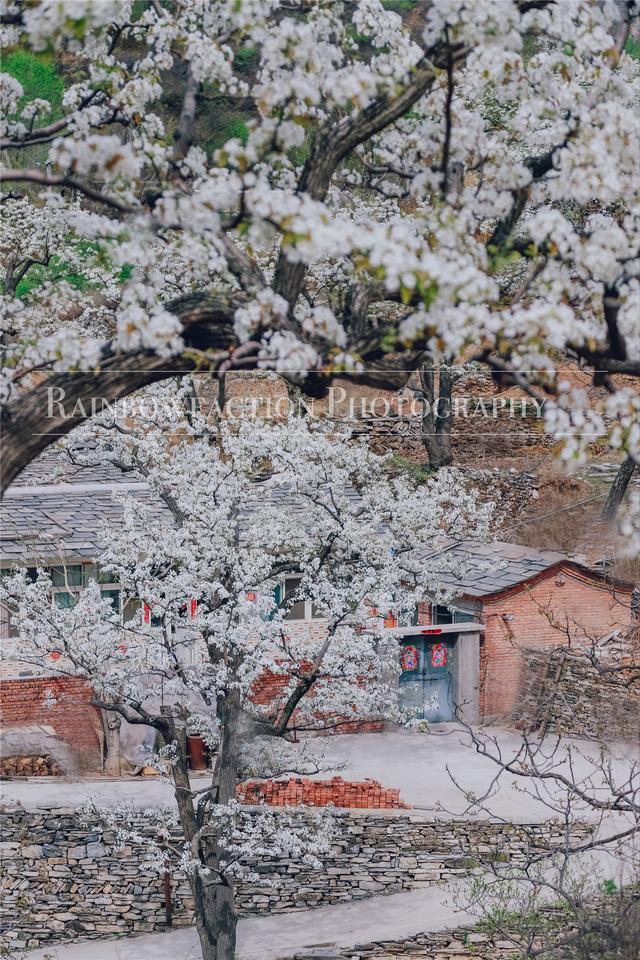 北京房山我的桃花源图片