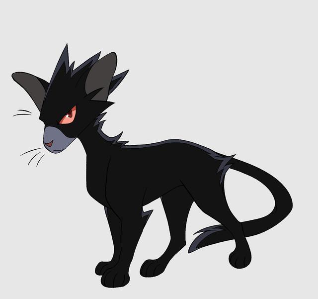 《我的英雄学院》众人变成猫咪后,赶紧又想撸猫了!