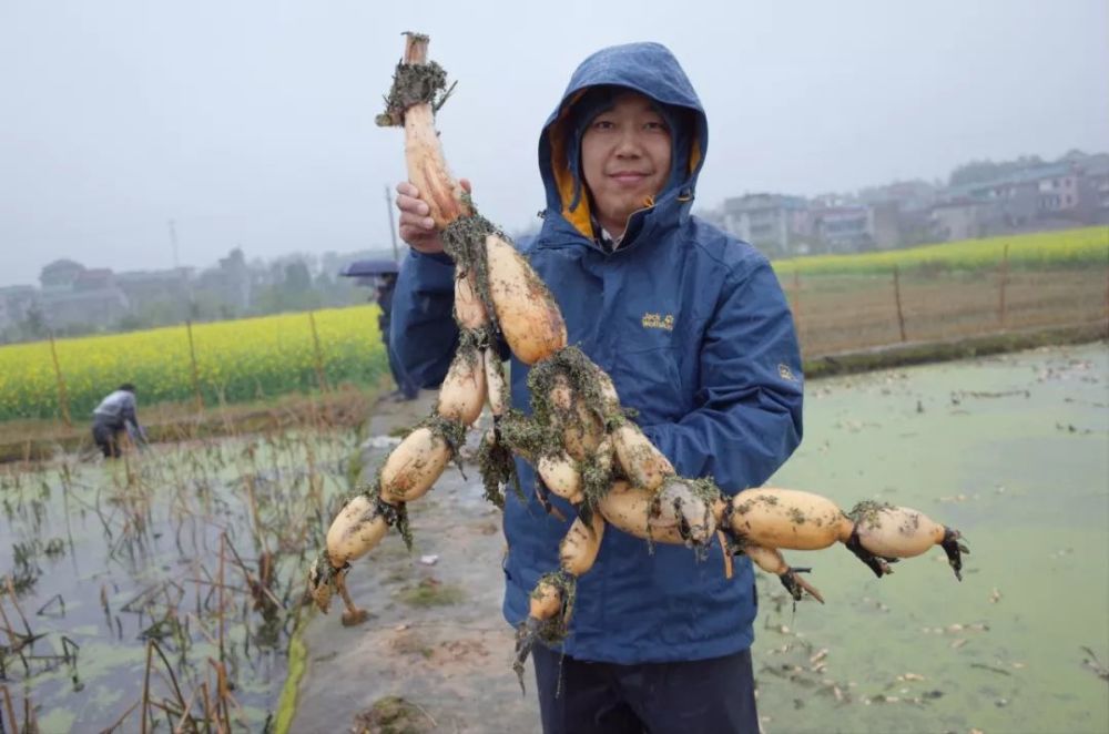 鱼丸的做法（鱼丸的做法家常做法） 第18张