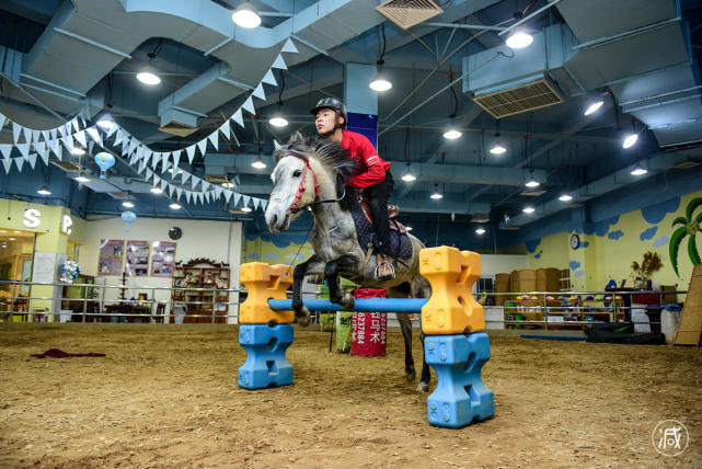 20岁青岛小伙建起室内马场 年收入80万