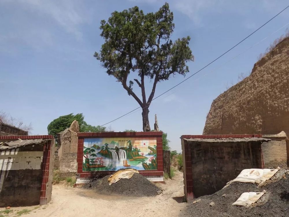 平遥县南羌村近日发生一起杀人案,凶手已被警方控制!