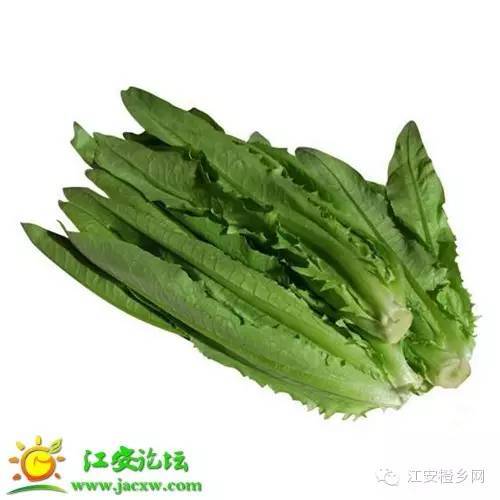 油麥菜,又叫鳳尾菜.我們叫它【萵筍葉(尖)】