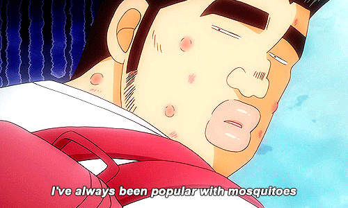 在聚蚊成雷的夏天