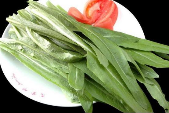 每年的阳春三月,麦地里都会长出一种野菜,大家都叫它麦菜